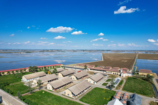 Aerial view of Azienda Agricola Veneria farm complex surrounded by flooded rice fields under a bright blue sky with scattered clouds in Veneria Piemonte Italy. Aerial view of Azienda Agricola Veneria farm complex surrounded by flooded rice fields under a bright blue sky with scattered clouds in Veneria Piemonte Italy.