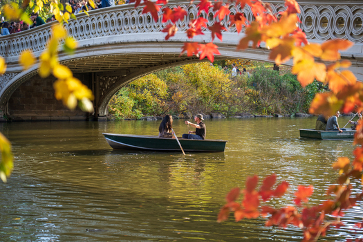 Manhattan United States 08 November 2025 View of a couple rowing on The Lake in Central Park framed by vibrant autumn foliage under Bow Bridge. Manhattan United States 08 November 2025 View of a couple rowing on The Lake in Central Park framed by vibrant autumn foliage under Bow Bridge.