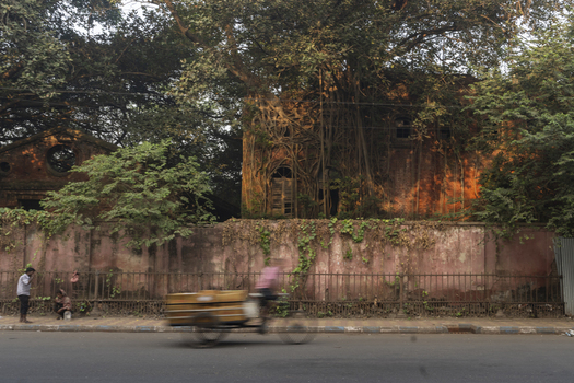 Kolkata India 05 December 2024 View of an old weathered building overtaken by the roots of a banyan tree its crumbling facade bathed in the warm glow of the setting sun. Kolkata India 05 December 2024 View of an old weathered building overtaken by the roots of a banyan tree its crumbling facade bathed in the warm glow of the setting sun.
