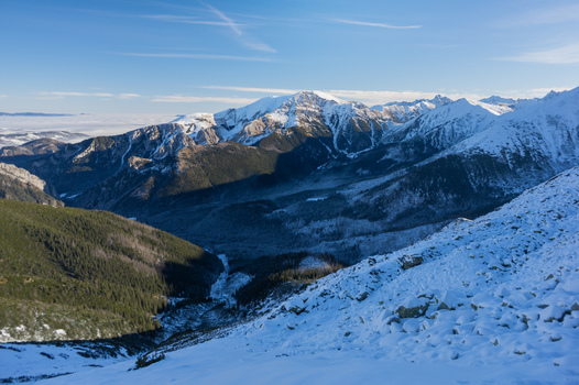 View of Ornak peak in the Western Tatras featuring snow covered slopes pine forests and rocky terrain under a clear blue sky in Tatra County Lesser Poland Voivode Poland. View of Ornak peak in the Western Tatras featuring snow covered slopes pine forests and rocky terrain under a clear blue sky in Tatra County Lesser Poland Voivode Poland.