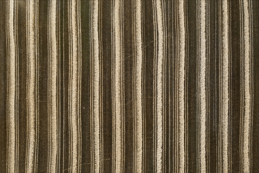Aerial view of parallel lines of contrasting dark and light agricultural fields create an abstract pattern Chyhyryns kyi district Cherkasy Oblast Ukraine. Aerial view of parallel lines of contrasting dark and light agricultural fields create an abstract pattern Chyhyryns kyi district Cherkasy Oblast Ukraine.