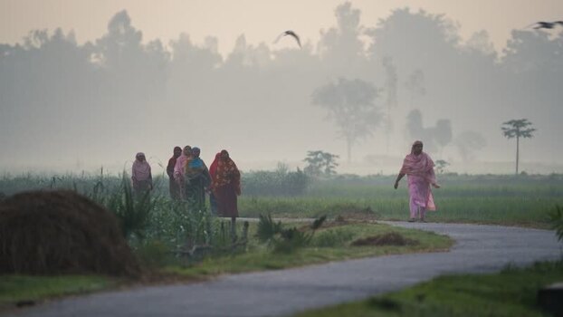 View of women walking on a rural road in morning mist Bangladesh. View of women walking on a rural road in morning mist Bangladesh.