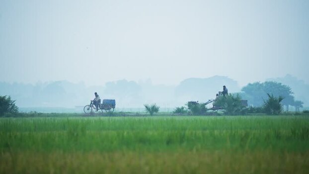 View of men on a tractor and bicycle in misty fields Bangladesh. View of men on a tractor and bicycle in misty fields Bangladesh.