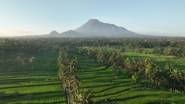 Aerial view of Mount Merapi and rice fields in Indonesia.
