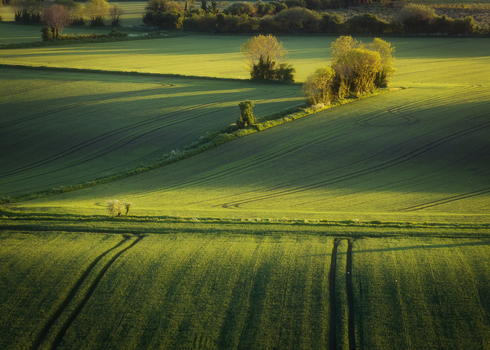 Aerial view of rolling green agricultural fields with tractor tracks and scattered trees under warm golden hour sunlight in Oldtown County Dublin Ireland. Aerial view of rolling green agricultural fields with tractor tracks and scattered trees under warm golden hour sunlight in Oldtown County Dublin Ireland.