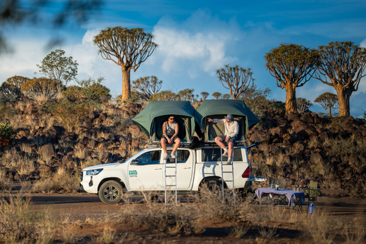 Quiver Tree Forest Namibia 06 March 2026 View of a white pickup truck with rooftop tents amidst the stark landscape framed by iconic quiver trees under a vast blue sky. Quiver Tree Forest Namibia 06 March 2026 View of a white pickup truck with rooftop tents amidst the stark landscape framed by iconic quiver trees under a vast blue sky.