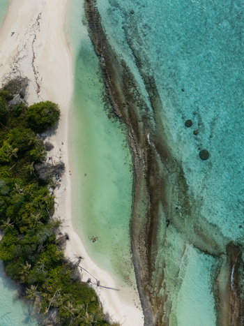 Aerial view of the island s edge where the lush green vegetation meets the white sand and turquoise waters Thuraakunu Thiladhunmathee Uthuruburi Maldives. Aerial view of the island s edge where the lush green vegetation meets the white sand and turquoise waters Thuraakunu Thiladhunmathee Uthuruburi Maldives.