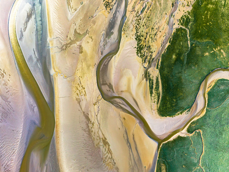Aerial view of the intricate tidal channels and sandbanks of the Baie de Somme with vibrant green salt marshes and winding waterways in Saint Valery sur Somme Hauts de France France. Aerial view of the intricate tidal channels and sandbanks of the Baie de Somme with vibrant green salt marshes and winding waterways in Saint Valery sur Somme Hauts de France France.