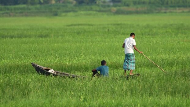 View of fishermen in a boat on a green flooded field Bangladesh.