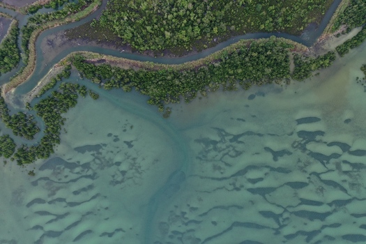 Aerial view of a winding river flowing through a lush mangrove forest into shallow coastal waters with intricate sandbar patterns in Maginti South East Sulawesi Indonesia. Aerial view of a winding river flowing through a lush mangrove forest into shallow coastal waters with intricate sandbar patterns in Maginti South East Sulawesi Indonesia.