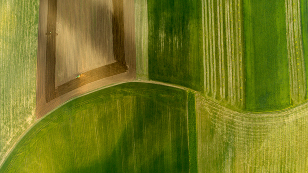 Aerial view of agricultural fields in Moravia with geometric patterns of green crops and brown soil in Brno City District South Moravian Region Czechia.
