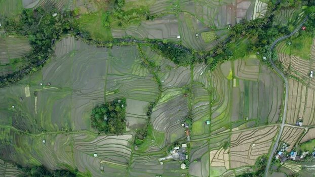 Aerial view of Jatiluwih rice terraces and lush tropical greenery Indonesia.