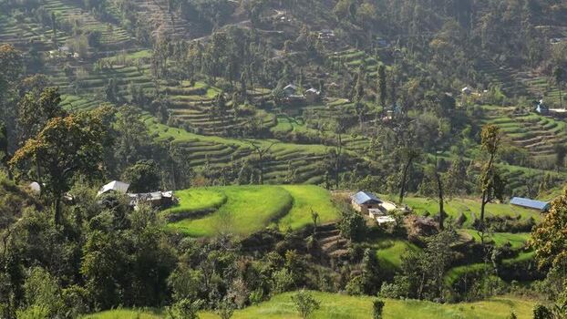 View of terraced green fields and rural houses on a hillside Nepal.