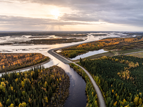 Aerial view of Moose Creek winding through autumn forests and wetlands with a gravel road under a sunset sky in Moose Creek Alaska United States.