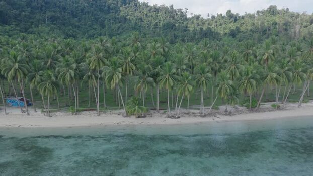 Aerial view of Coconut Beach with palm trees Philippines.
