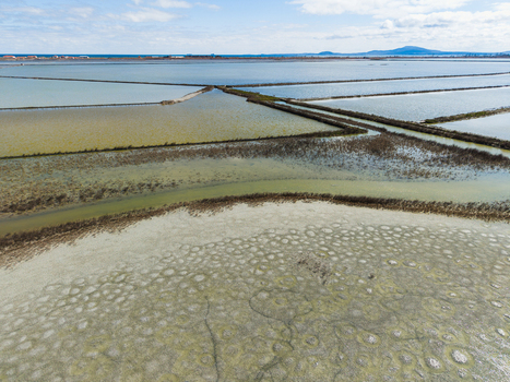 Aerial view of the geometric salt pans and unique circular patterns on the dry ground of Lake Atanasovsko in Burgas Burgas Bulgaria. Aerial view of the geometric salt pans and unique circular patterns on the dry ground of Lake Atanasovsko in Burgas Burgas Bulgaria.