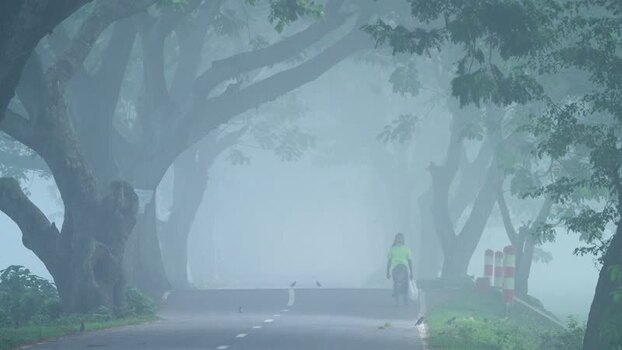 View of a person walking on a foggy road in Bogura Bangladesh.
