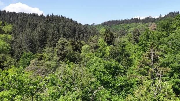 Aerial view of dense green forest and rolling hills France.
