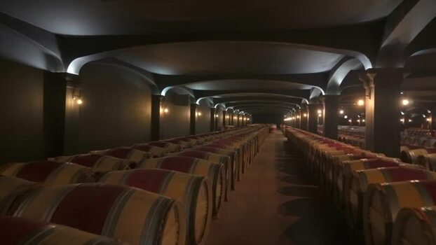 View of Martillac wine cellar with barrels France.