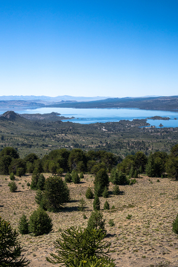 View of Alumine Lake and the volcanic landscape of Volcan Batea Mahuida with evergreen trees and clear blue sky in Neuquen Neuquen Province Argentina.