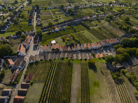 Aerial view of Hajos pincefalu featuring rows of traditional wine cellars surrounded by lush vineyards and rural landscape in Hajos Hungary. Aerial view of Hajos pincefalu featuring rows of traditional wine cellars surrounded by lush vineyards and rural landscape in Hajos Hungary.