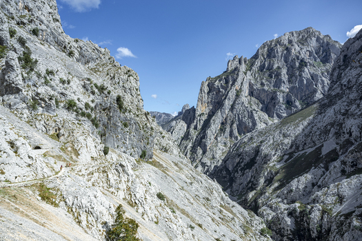 View of jagged grey white mountains rise majestically under a clear blue sky framing a narrow valley trail Picos de Europa Asturias Spain. View of jagged grey white mountains rise majestically under a clear blue sky framing a narrow valley trail Picos de Europa Asturias Spain.