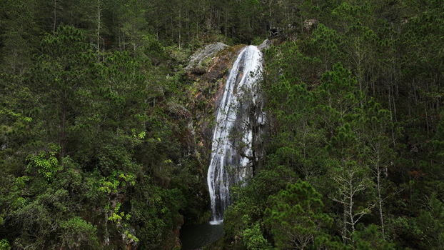 Aerial view of the cascading Aguas Blancas waterfall surrounded by dense pine forests and rocky cliffs in Constanza La Vega Dominican Republic.