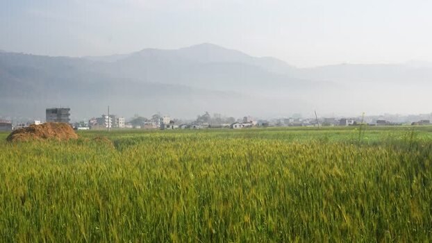 View of lush green fields and misty mountains Nepal.