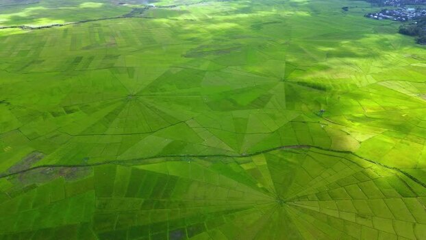 Aerial view of Lingko Spider Web Rice Fields in Ruteng Indonesia.