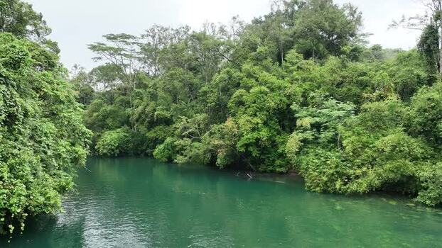 Aerial view of lush tropical jungle along a river in Indonesia. Aerial view of lush tropical jungle along a river in Indonesia.