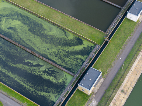 Aerial view of a water treatment facility with algae covered reservoirs concrete channels and a small maintenance building in Poland. Aerial view of a water treatment facility with algae covered reservoirs concrete channels and a small maintenance building in Poland.