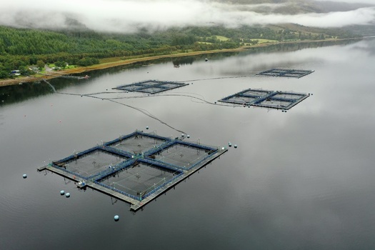 Aerial view of fish farming cages in the calm waters of Loch Leven near Glencoe surrounded by green hills and misty clouds in Glencoe Scotland United Kingdom.