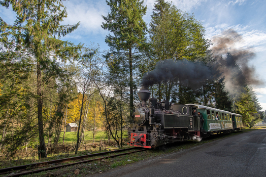View of the Mocanita Moldovita steam train traveling through a forest with autumn foliage and emitting black smoke in Moldovita Suceava County Romania. View of the Mocanita Moldovita steam train traveling through a forest with autumn foliage and emitting black smoke in Moldovita Suceava County Romania.