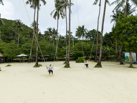 Aerial view of light sand and tall palm trees framing people on swings at Bobby Beach Karimunjawa Central Java Indonesia.