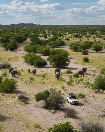 Aerial view of a herd of elephants dwarfing a lone white SUV traversing the arid plains under a vast sky Uis Erongo Region Namibia.