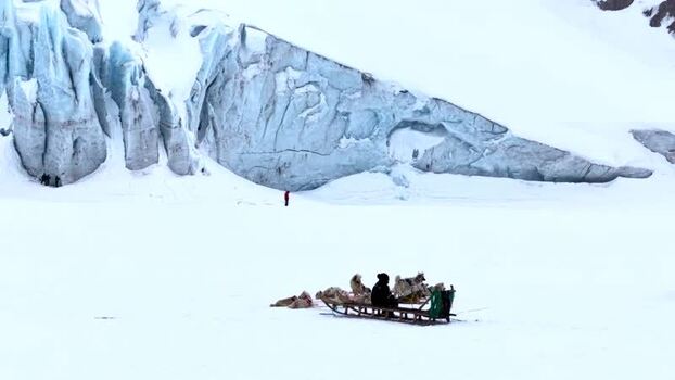 Aerial view of a dog sled and person near a massive glacier Greenland. Aerial view of a dog sled and person near a massive glacier Greenland.