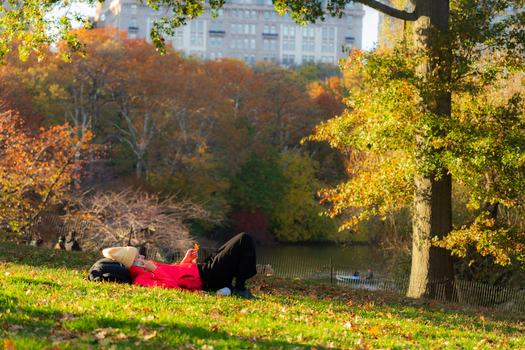 Manhattan United States 08 November 2025 View of a tranquil Central Park scene with a woman relaxing on the vibrant autumn colored grass the Bethesda Terrace in the background. Manhattan United States 08 November 2025 View of a tranquil Central Park scene with a woman relaxing on the vibrant autumn colored grass the Bethesda Terrace in the background.