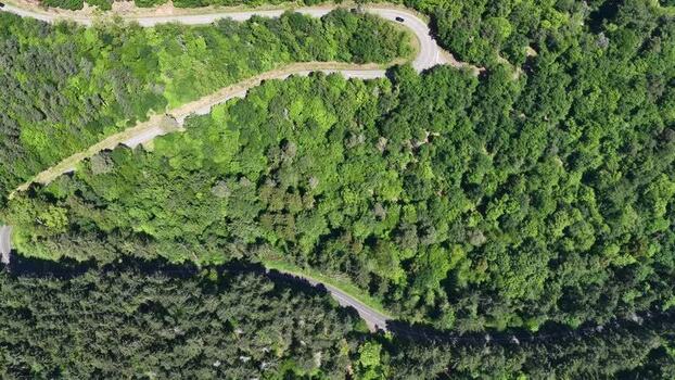 Aerial view of a winding road through a lush green forest France.