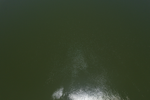 Aerial view of the dark green water surface of Minjibir reservoir with sunlight reflecting on the ripples in Kano City Kano State Nigeria. Aerial view of the dark green water surface of Minjibir reservoir with sunlight reflecting on the ripples in Kano City Kano State Nigeria.