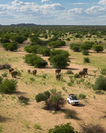 Aerial view of elephants roam across the arid landscape a vehicle stands in contrast to the natural tones Uis Erongo Region Namibia.