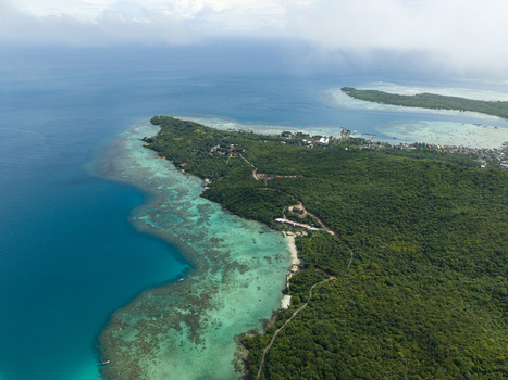 Aerial view of where the turquoise waters meet lush green forests along the coast Karimunjawa Central Java Indonesia.