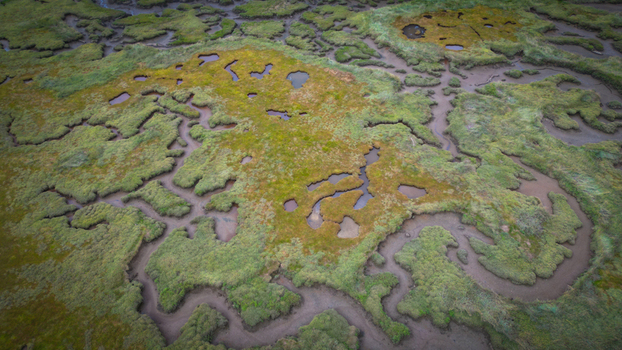 Aerial view of a vibrant tapestry of green and gold marshland laced with meandering waterways reflecting the sky Henvic Bretagne France.