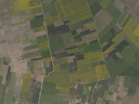 Aerial view of a patchwork of agricultural fields with varying shades of green and yellow crops in the rural landscape of Kushtia Khulna Division Bangladesh. Aerial view of a patchwork of agricultural fields with varying shades of green and yellow crops in the rural landscape of Kushtia Khulna Division Bangladesh.