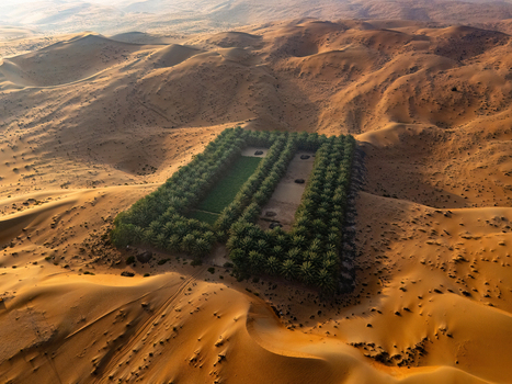 Aerial view of the Bateen Liwa palm grove oasis nestled among rolling orange sand dunes under warm sunlight in Al Dhafra Region Abu Dhabi United Arab Emirates. Aerial view of the Bateen Liwa palm grove oasis nestled among rolling orange sand dunes under warm sunlight in Al Dhafra Region Abu Dhabi United Arab Emirates.