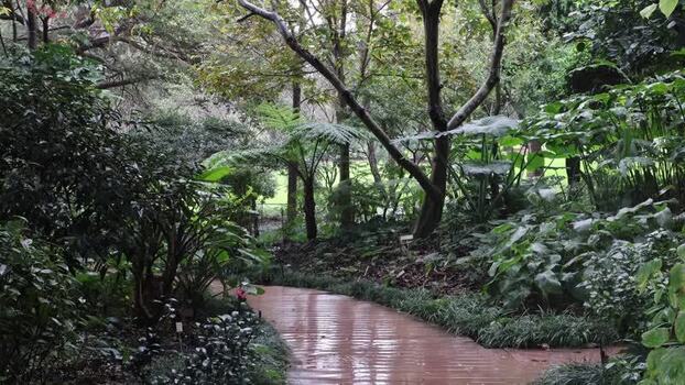View of Royal Botanic Garden Sydney Australia.
