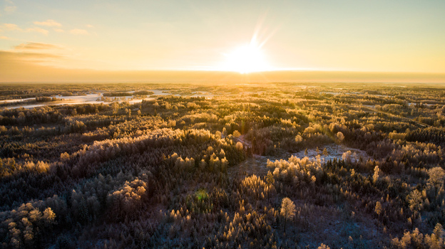 Aerial view of a frost covered forest during golden hour in Latvia. Aerial view of a frost covered forest during golden hour in Latvia.