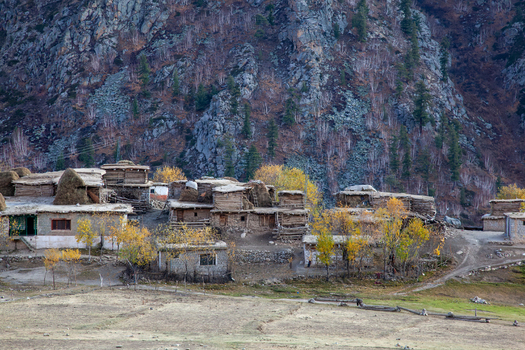 View of traditional stone and wood houses with autumn foliage nestled against rugged mountains in Deosai National Park Astore Gilgit Pakistan. View of traditional stone and wood houses with autumn foliage nestled against rugged mountains in Deosai National Park Astore Gilgit Pakistan.
