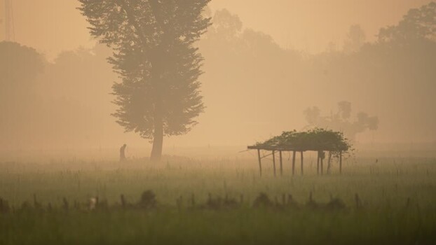 View of misty rural landscape with trees and a small hut Bangladesh.