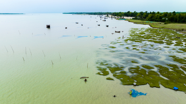 Aerial view of people fishing with nets in the shallow waters of the river near the marshy coastline of Patharghata Barisal Division Bangladesh. Aerial view of people fishing with nets in the shallow waters of the river near the marshy coastline of Patharghata Barisal Division Bangladesh.