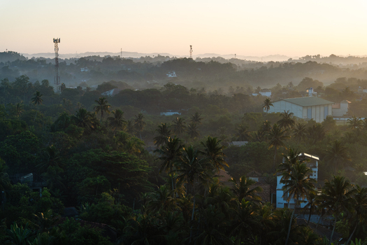 View of a lush tropical landscape with palm trees and misty hills under a soft morning sky in Galle Southern Province Sri Lanka.